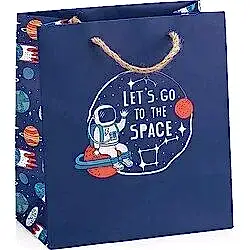 Gıpta Space B4 Orta Karton Hediye Çantası