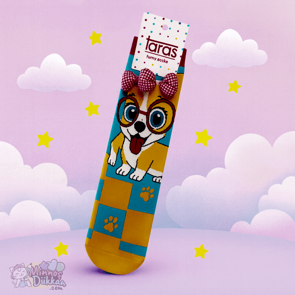 Funny Fiyonklu Köpek Çorap