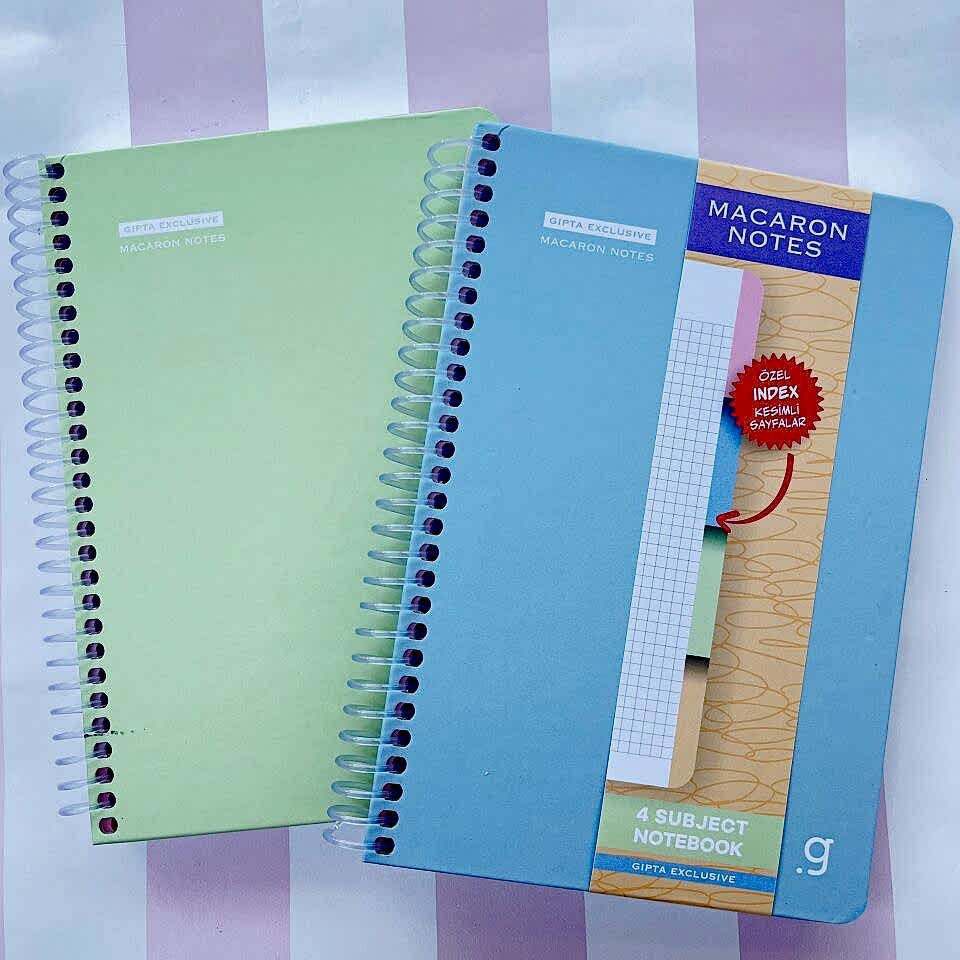 Gıpta Exclusive Macaron Kalın Kapak Kareli 120 Yaprak Defter 17x24
