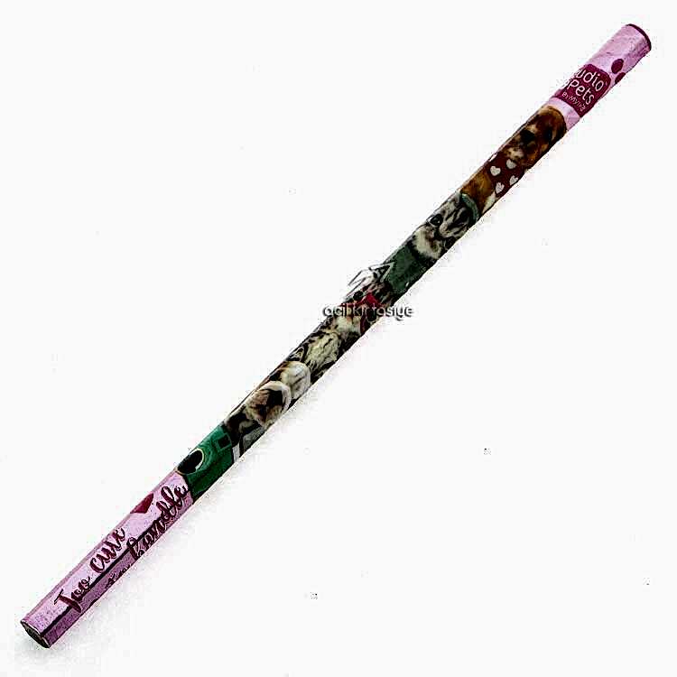 Studio Pets Kurşun Kalem